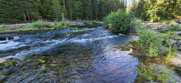 Rogue River running along campsites