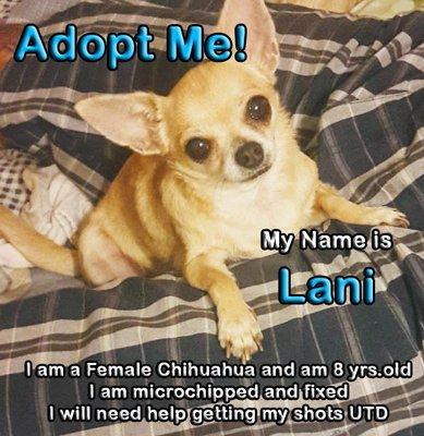 Lani has been Adopted!!!