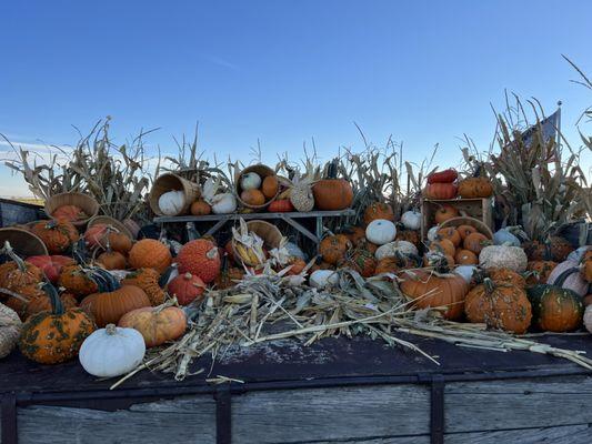 Pope Farms Fall Festival