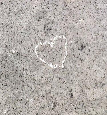 If you touch the heart shape on the countertop of Daily Dental Spring Hill's reception desk, you'll have a magical day full of love!