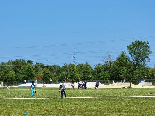 Proper Cricket pitch