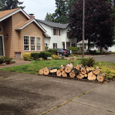 Two trees removed and no mess!  The wood will be donated to seniors in the area who need the wood.