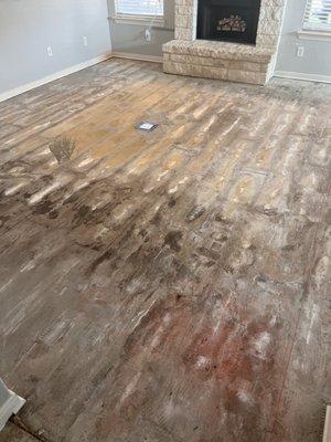 Water, mildew, and discoloration on the concrete subfloor as a result of not installing a vapor barrier.