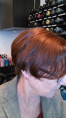 Elumen 3x longer lastong shine enhancing reds