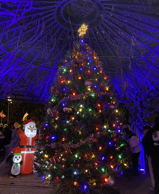 NIA Annual Christmas Tree Lighting at Shore Road Park