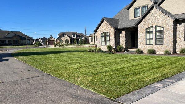 Another day another Clean front yard. (maintenance)