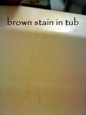 They tried to fix the paint in the bathroom and left these stains in my bath tub.