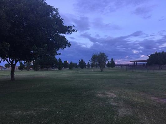 Nice green grass and trees!