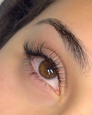 Classic Lashes