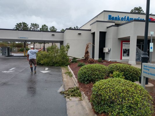 Sonny assassin Bank of America damage hurricane Florence