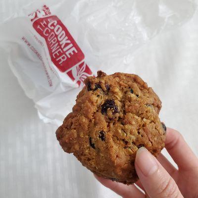 Oatmeal cranberry - holiday cookie IG @eatswithmarisa