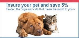 Pet insurance
 Protect the Dog and Cats that mean the world to you