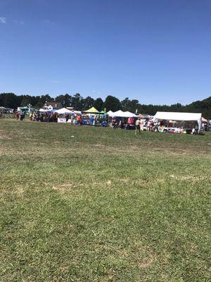 Festival grounds with vendors