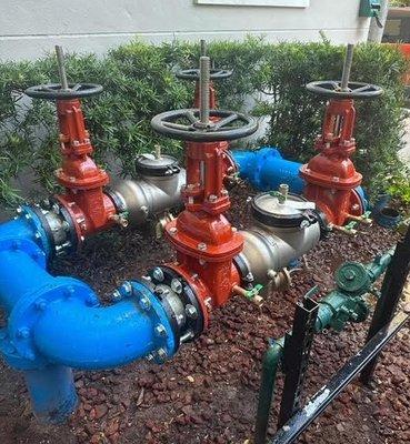 (2) 8" BACKFLOW REPLACEMENTS