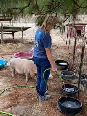 Cotton Branch Farm