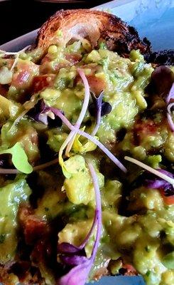 Guacamole Toast