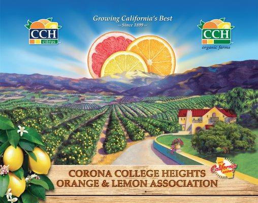 CCH Citrus 2020 Creative Branding .  Organic & Conventiona "Growing California's Best"  Since 1899  etvspots.com  digital branding group