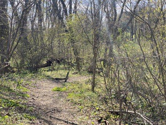 Walking trails located on campus allow our educators to bring curriculum and learning opportunities outdoors.