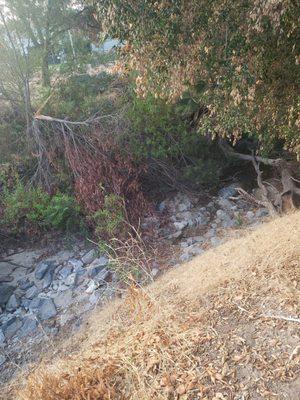 Dry creek bed.