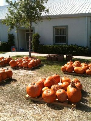 Port Orange Church Of The Nazarene