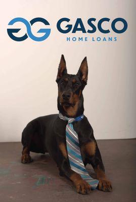 Graycee the Dobie says, "The market can be Ruff, that's why I call Team Gasco!