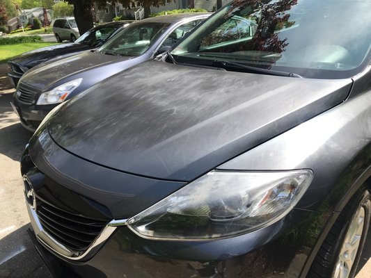 Scratched hood after detailing at Bill's