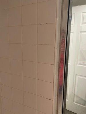 More mold in the shower.