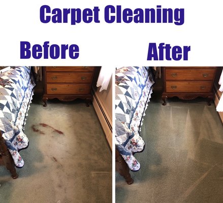 Carpet Cleaning before and after of a stain.