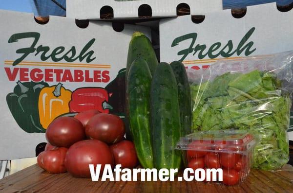 Local fresh produce boxes home delivered by the Virginia Vegetable Company CSA program.