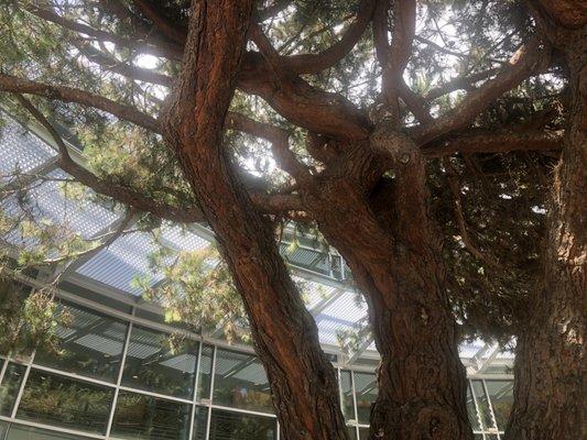 Outside the Monterey county courthouse