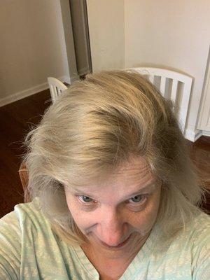 This is my blonde hair just 6 days after the 2 nd application of the gray