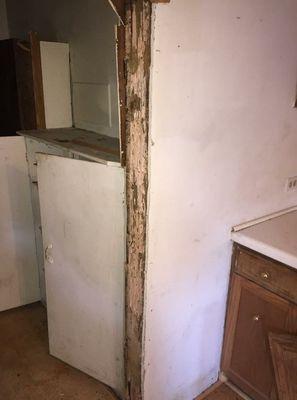 Termite damage in kitchen rehab