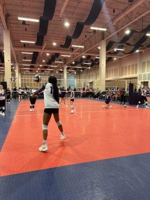 Volleyball