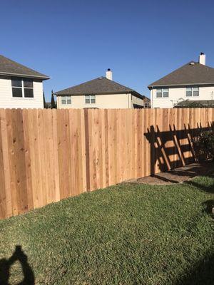 South Texas Fence