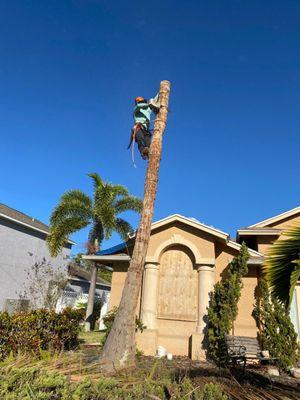 Velasquez Landscaping & Tree Service