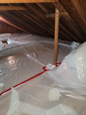 Attic prep to do mold removal