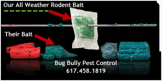 We use premium all weather rodent bait