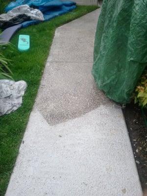 Before/After concrete walkway