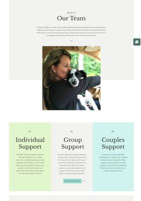 A website design created for a recent client: Friends of Willow.