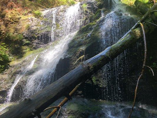 Waterfall on a hiking trip San Juan Island, Washington