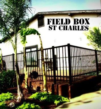 Take A Little Tropical Vacation At Field Box 2 Off Cave Springs 70 Exit - Behind QT At Mexico And Old Muegge Rd. New And Cool Wi