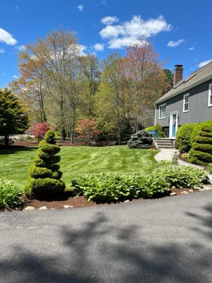 Gold Maple Landscaping