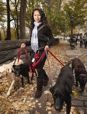 Lisa Chang from NYC Dog Walkers enjoying her walk with the pups.