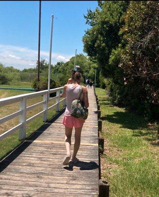 The long and not so accessible walkway to the pontoon boat