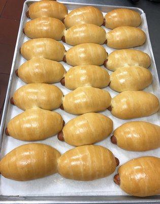 Large sausage and cheese kolaches