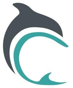 Dolphin Financial Group