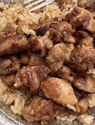 Teriyaki Chicken Bowl with Side Order of Fried Rice