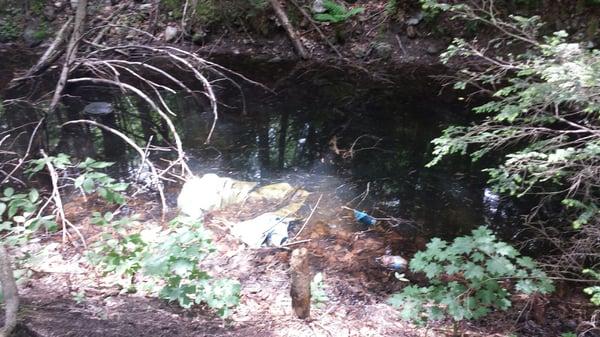 Garbage and tarp covers in the brook behind our site.