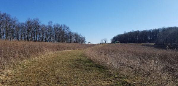 Looking back uphill from the dog run entry gates. A nice hike. Gradual incline, not steep.