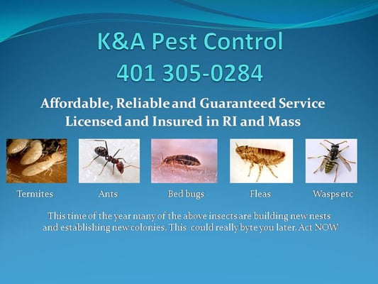 Experienced Pest Control